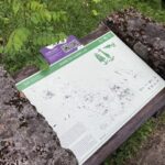 Esempio di pannello con QR code presenti nel parco