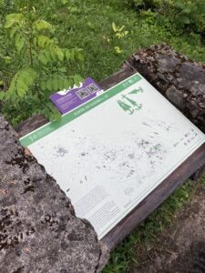 Esempio di pannello con QR code presenti nel parco